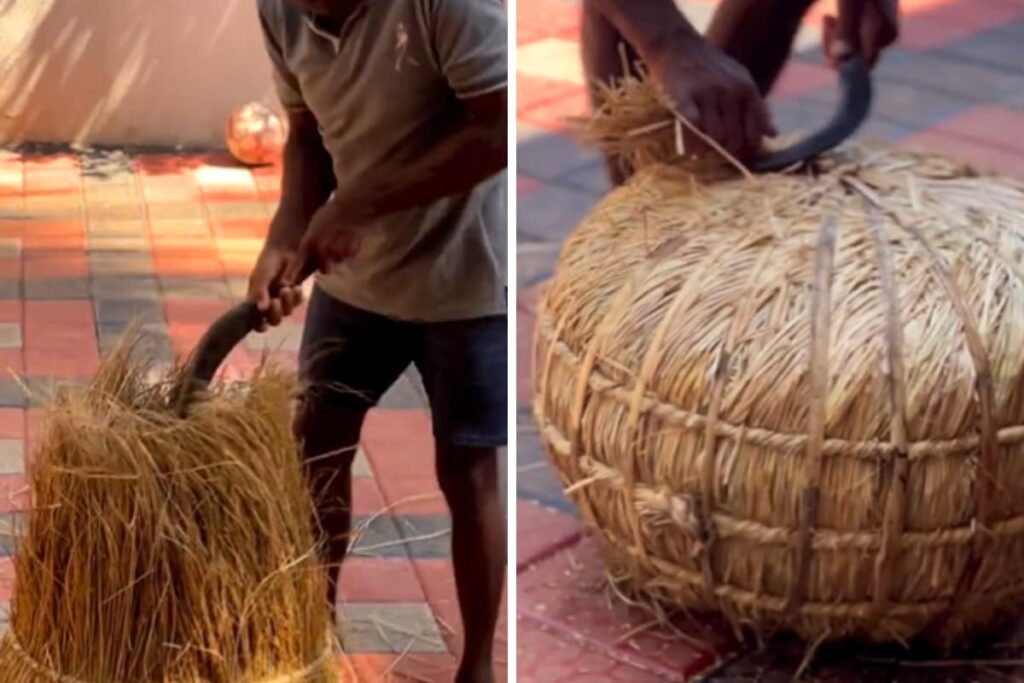 Watch: Traditional Method Of Storing Paddy In Udupi