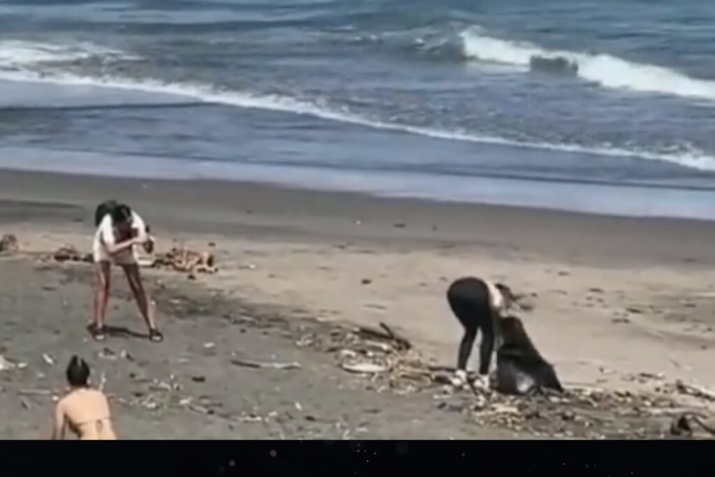 Viral: Influencer Picks Up Beach Trash, Gets Herself Clicked And Dumps It Again