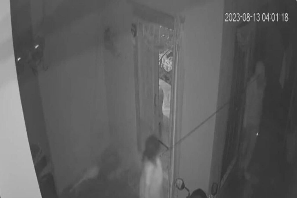 Homemaker in Telangana Fights Thief, Prevents Him from Entering Her House, Video Goes Viral