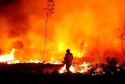 Major Wildfires Burn in Greece, Spain's Canary Island of Tenerife