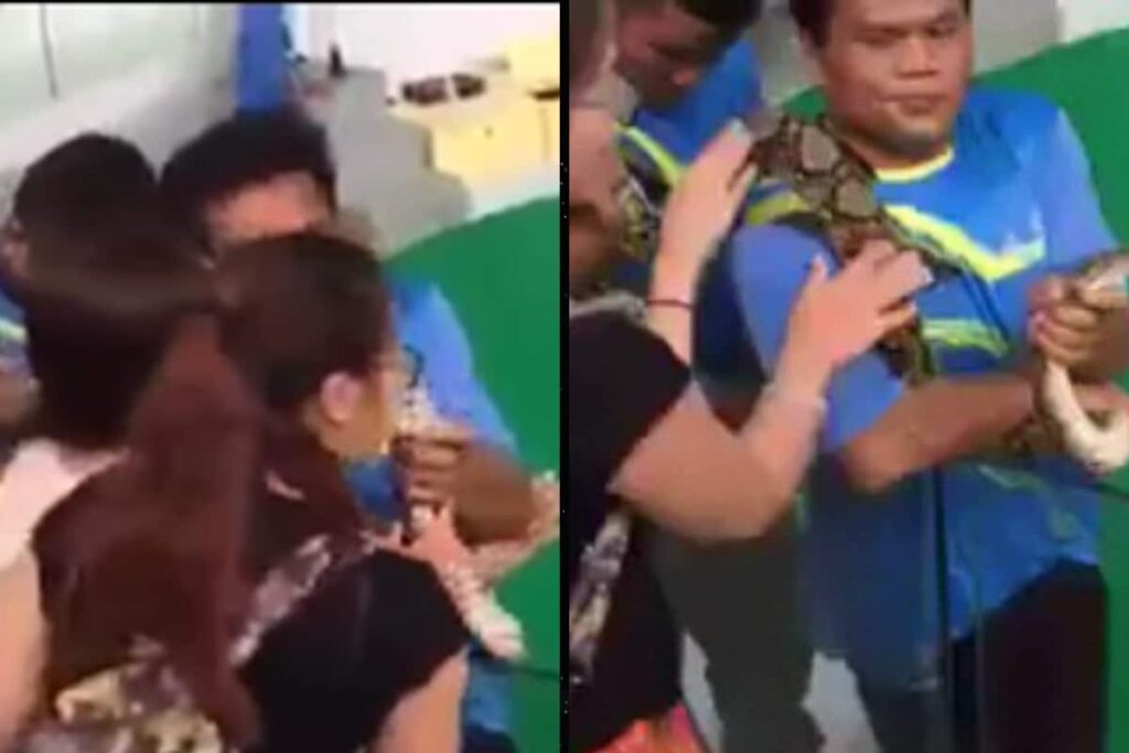 Woman Kisses Snake And It Bites Her Back In Viral Video
