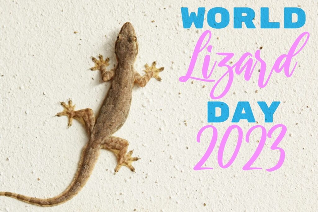 World Lizard Day 2023: History, Significance, and 5 Common Misconceptions About Lizards