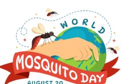 World Mosquito Day 2023: History, Types, Diseases, and Control