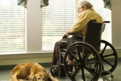 World Senior Citizen Day 2023: Challenges and Opportunities