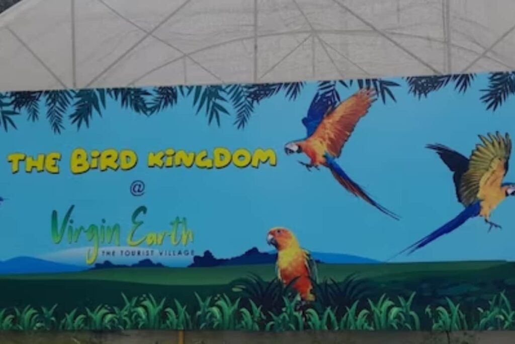 Flying Squirrels To African Gray Parrot, Virgin Earth's Aviary In Ooty Is Heaven For Bird Enthusiasts