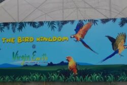 Flying Squirrels To African Gray Parrot, Virgin Earth's Aviary In Ooty Is Heaven For Bird Enthusiasts