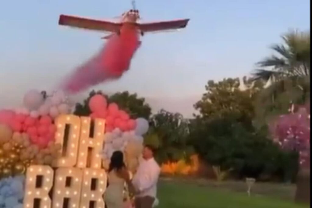 Caught On Cam: Gender Reveal Party Turns Into Horror Scene As Plane Crashes
