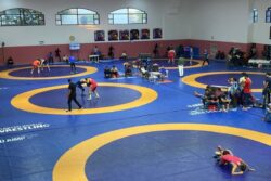 'Not a Matter for us to Decide': Haryana Khaps Distance Themselves From Wrestling Selection Controversy