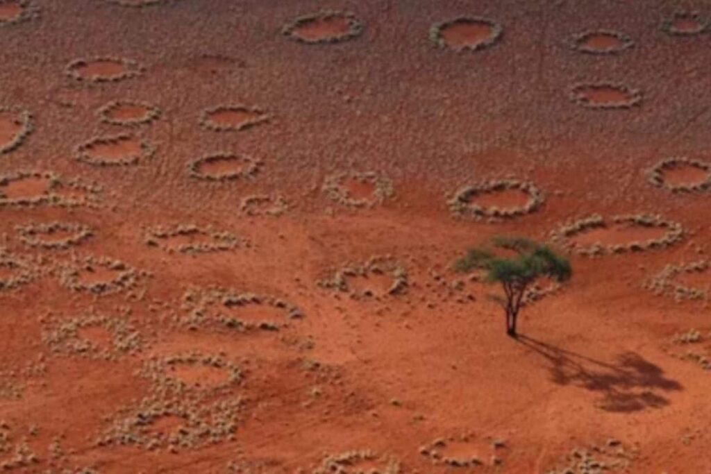 Mysterious 'Fairy Circles' Found in Australia And Africa Now Discovered in 250 New Locations