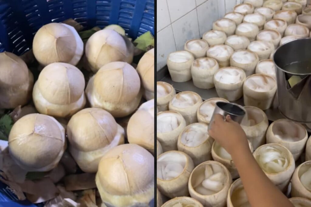 From Thailand, A Lip-Smacking Video Of Coconut Jelly Preparation