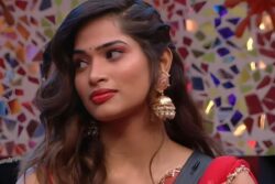 Bigg Boss Telugu Contestant Subhashree Rayaguru's Journey From Miss India Odisha To Hit Actress