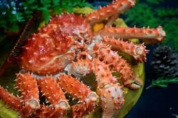 Singapore Restaurant Charges $680 For A Crab Leaving Japanese Tourist Shocked