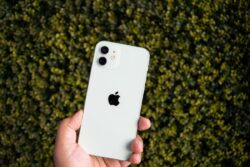 This Country Bans Sale Of iPhone 12 For Radiation Scare, Apple Denies Charges