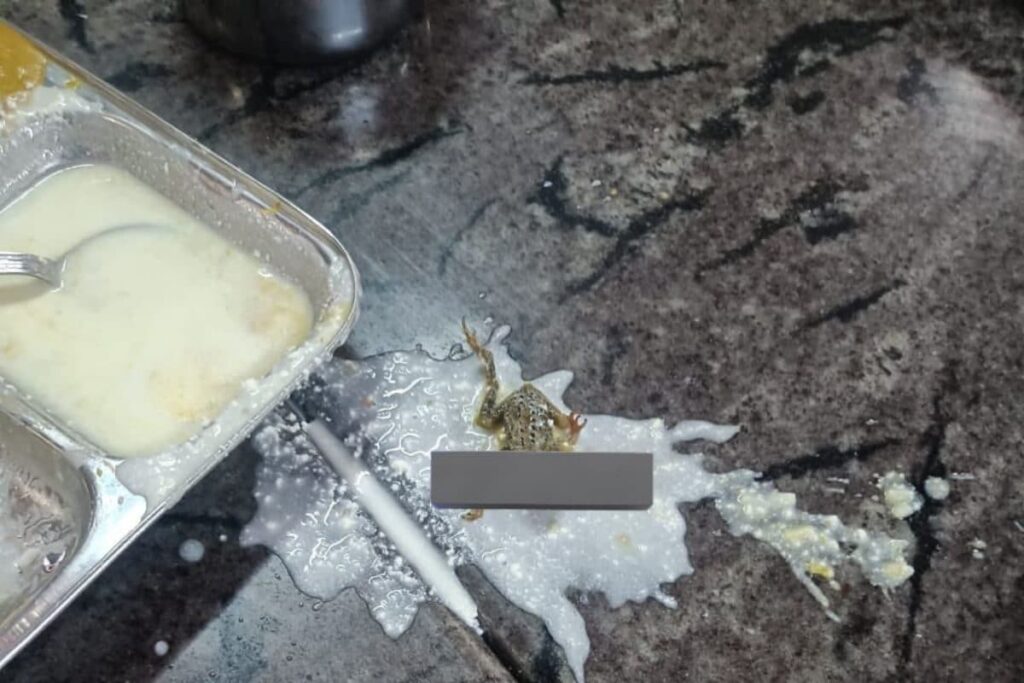 KIIT Bhubneshwar Slammed After Dead Frog Found in Hostel's Food, College Responds