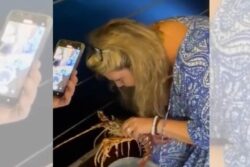 Tourist Buys Rs 18,000 Lobster at Italian Restaurant, Sets it Free in Ocean Moments Later