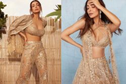 Sexy! Malaika Arora Looks Sizzling In Shimmer Outfits In Latest Photoshoot, Fans React; See Here