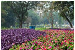 This World Tourism Day: Become a Tourist in Your Own City