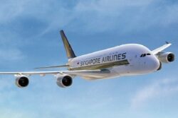 Disturbed By 'Farting' Dog, Couple Demands Refund From Airline