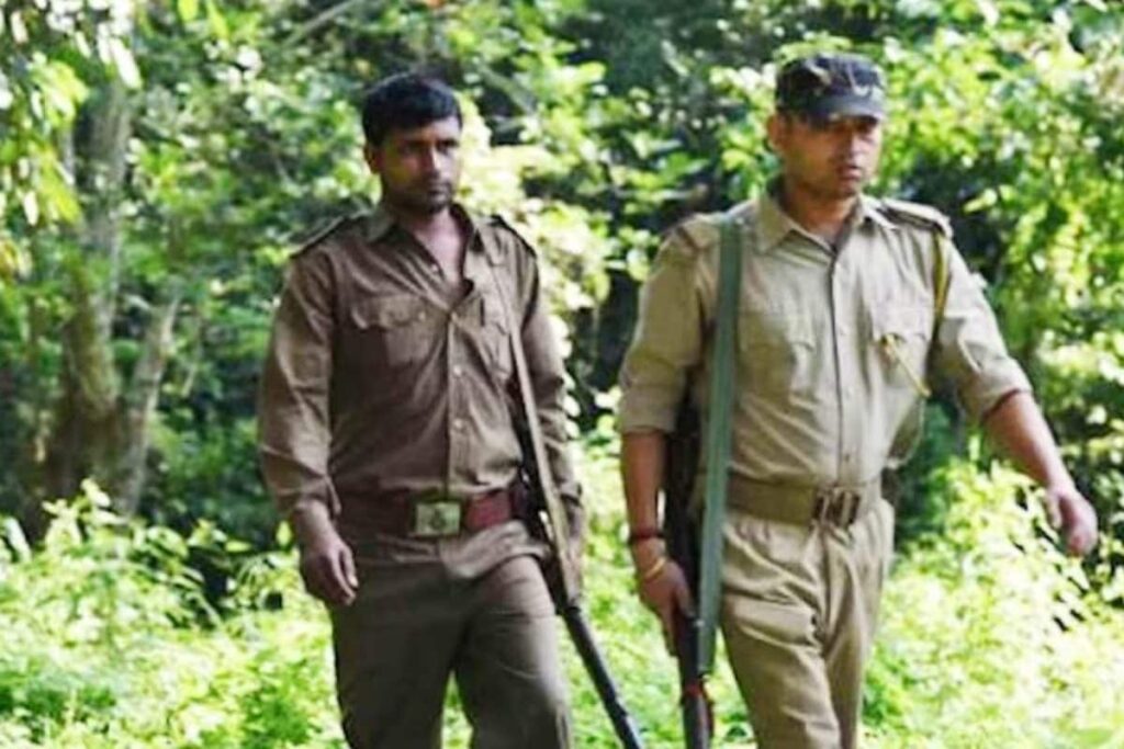 UPSSSC Forest Guard Recruitment 2023: Eligibility To Application Process, Take A Look