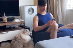 Cat Pleading For Cuddles Is Oh-So-Relatable