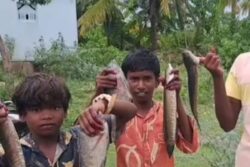 In This Tamil Nadu Village, Locals Celebrate Fishing Festival With Great Enthusiasm