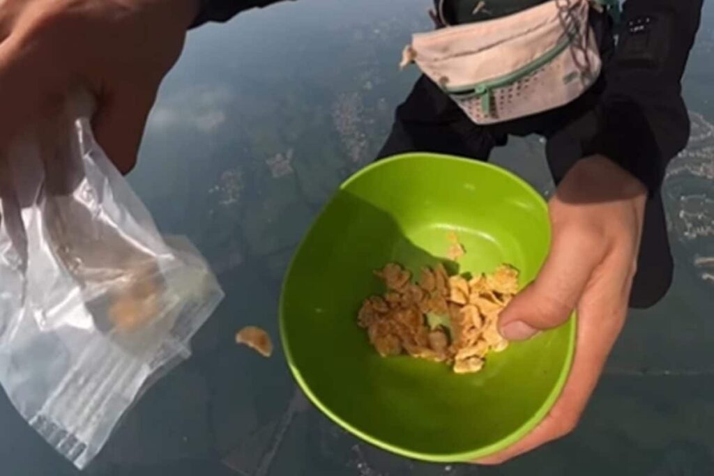 Paraglider Takes Love For Food To New Heights, Makes And Relishes Cereal In Air