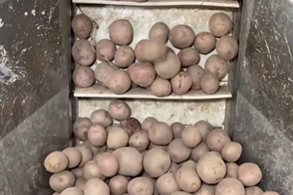 Video Shows How Potato Chips Are Made, Internet Asks 'Where Is The Air?'