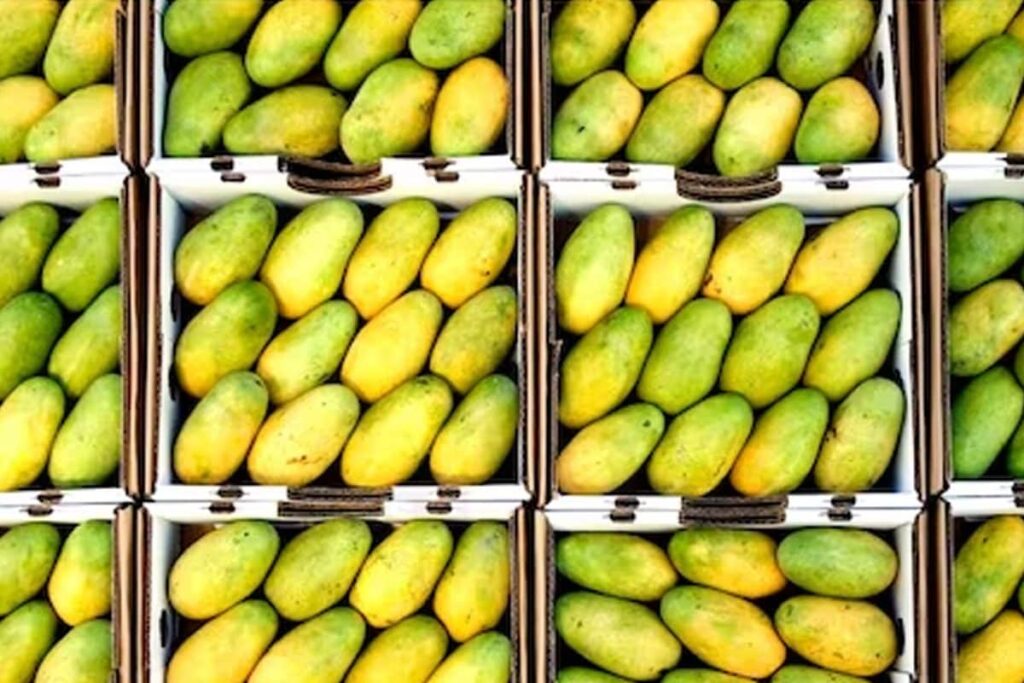 Not King, This Fruit Is Known As The Queen Of Fruits In Southeast Asia