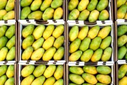 Not King, This Fruit Is Known As The Queen Of Fruits In Southeast Asia