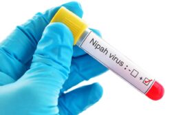 No New Positive Case of Nipah; 61 Negative Results: Kerala Govt