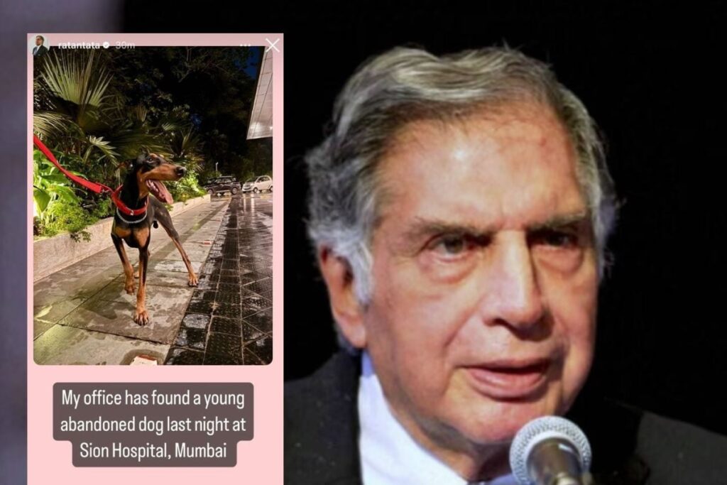 Ratan Tata is Looking For a Home For This Abandoned Dog in Mumbai, Shares on Instagram