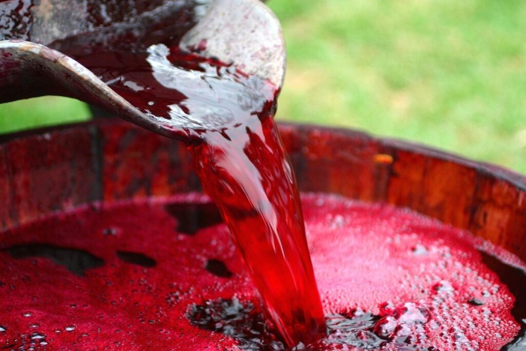 WATCH | 2.2 Million Litres of Wine Gushes through Portugal Town after Winery Mishap