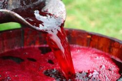 WATCH | 2.2 Million Litres of Wine Gushes through Portugal Town after Winery Mishap