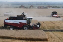 Russia Tops List of World’s Largest Grain Exporters