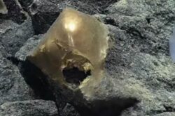 Scientists 'Baffled' By Golden Egg Found At The Botton Of The Ocean: ‘It’s Like A Horror Movie’