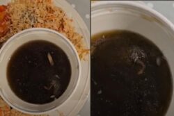Shocking: UK Man Finds Live Mouse In Mushroom Soup, Restaurant Denies His Claim