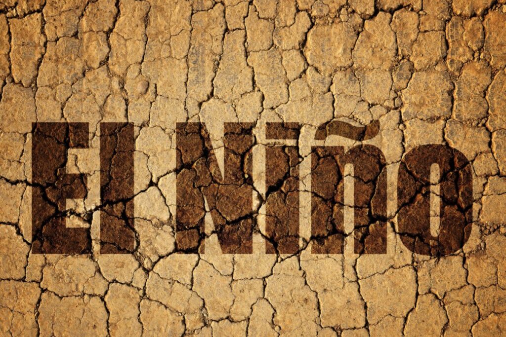 Experts Fear Heat Trend Will Continue in 2024 due to El Nino, 2023 Might be Warmest Year on Record