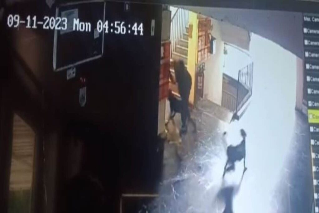 WATCH | Delhi Woman Undergoes Surgery After Being Attacked by Stray Dogs