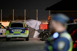 Scourge of Illegal Immigrants? Sweden PM to Seek Army Help to End Gang Violence