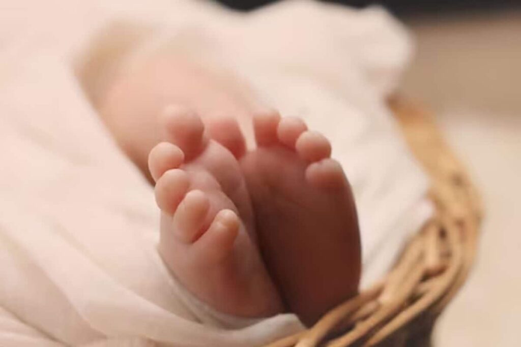 UP: 2 Newborns Die 'Due To Cold' in Private Clinic, Doctor Held