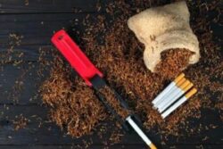 Reducing Cardiovascular Disease Risk: Nicotine Replacement Therapy Offers Hope for Smokers