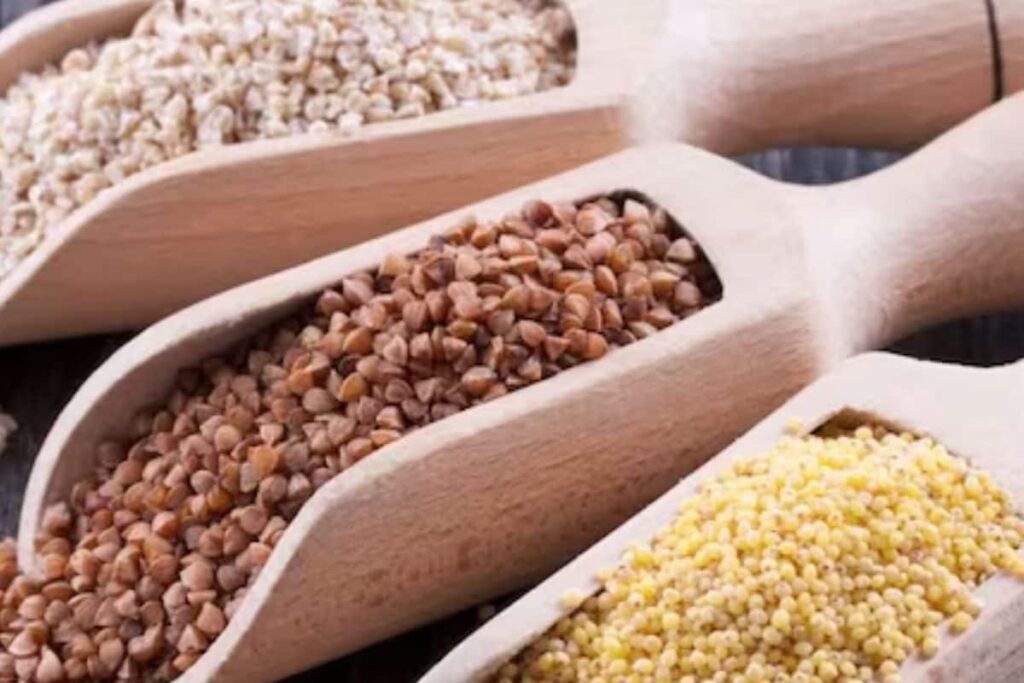 The Magic of Millets - Ancient to Modern Indian Kitchens