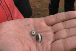 In This Madhya Pradesh Village, Locals Dig Out Pearls