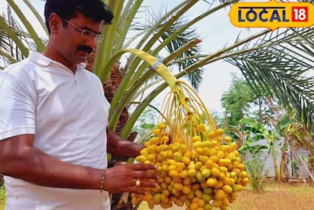 This Tamil Nadu Farmer Earns Up To Rs 2 Lakh In Date Cultivation