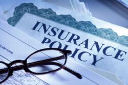 Term Insurance vs Life Insurance Difference: Which Policy Fits Your Needs Best?