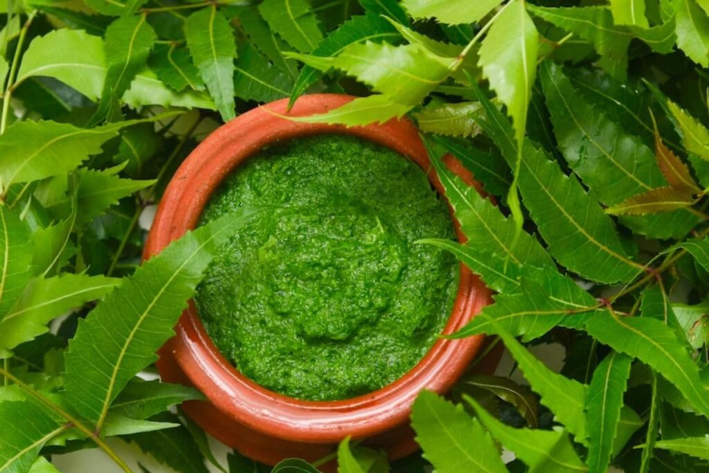 From Improving Gut Health To Reducing Blood Sugar Level, 4 Benefits Of Neem