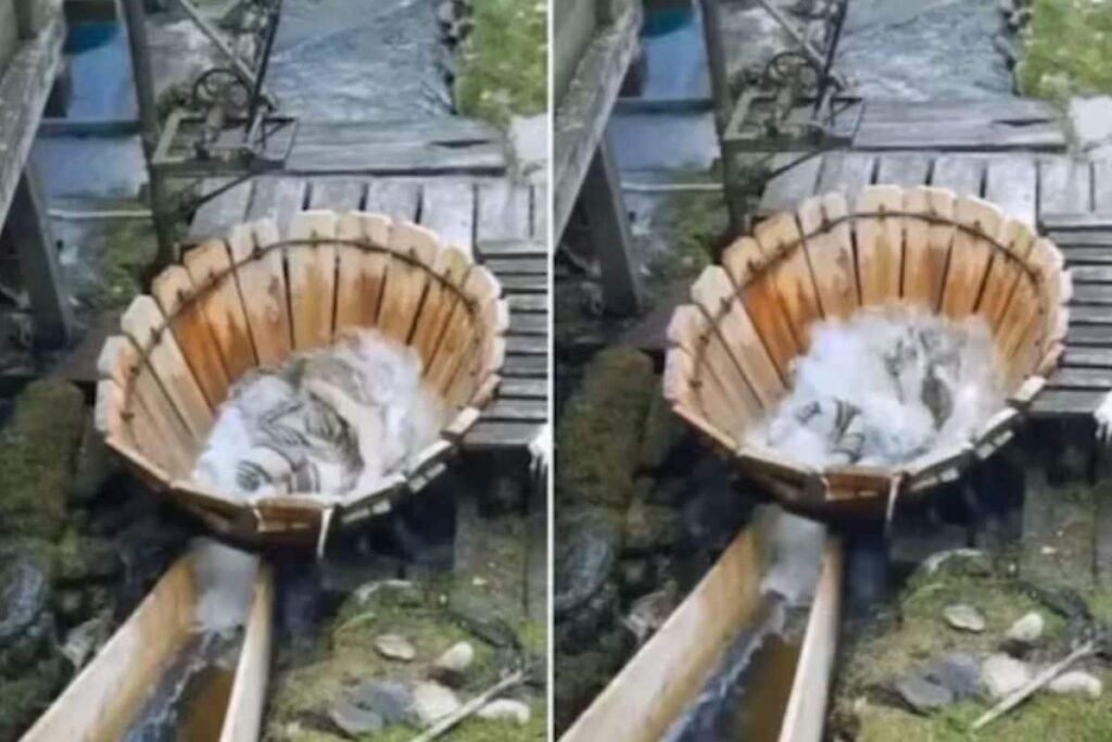 Video Of Giant Wooden Bucket Being Used As Outdoor Washing Machine Has Internet Impressed
