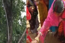 In Jharkhand Village, Woman's Dream Comes True As Milk Gushes Out Of Neem Tree