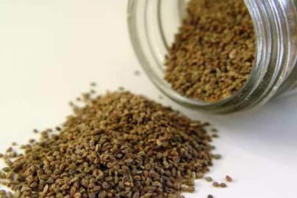 Improving Digestion To Reducing Cholesterol, Expert Suggests The Health Benefits Of Ajwain Water