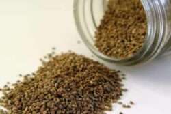 Improving Digestion To Reducing Cholesterol, Expert Suggests The Health Benefits Of Ajwain Water